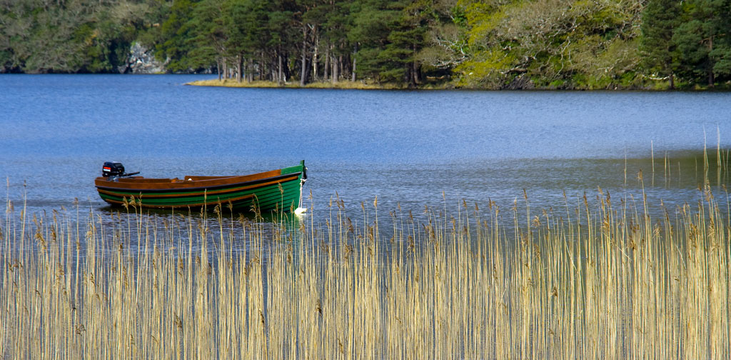 Irlanda - Killarney (19)