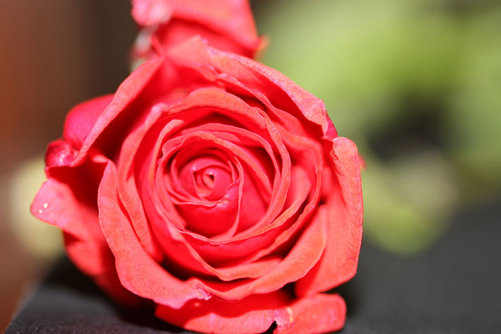 Dentro un'emozione...