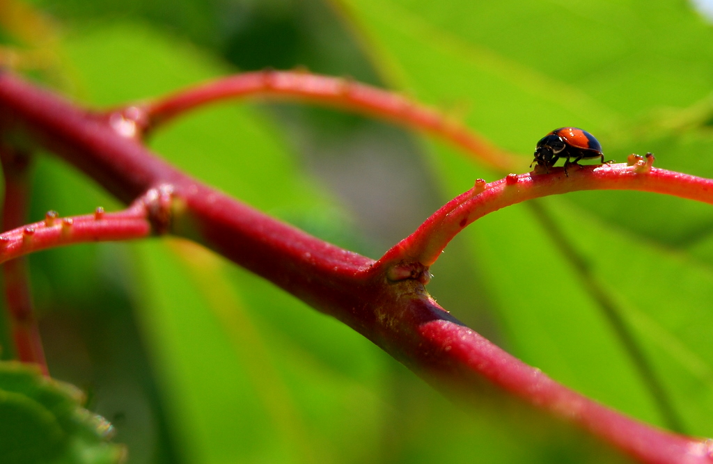 All'imbocco dell'autostrada
