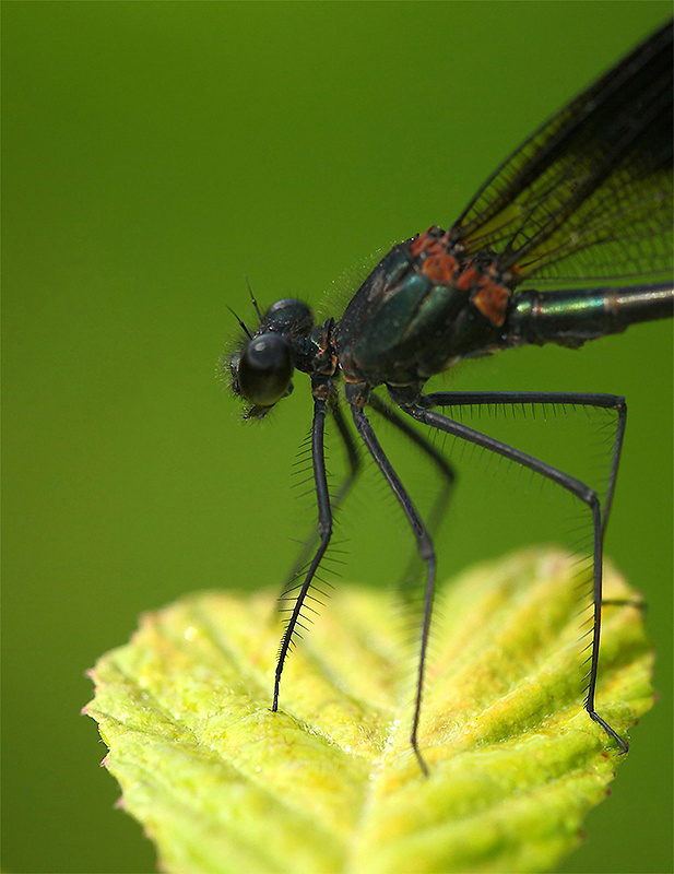 ...Foto Segnaletica...!!!