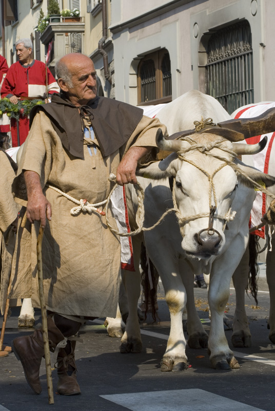 Palio Legnano 2009