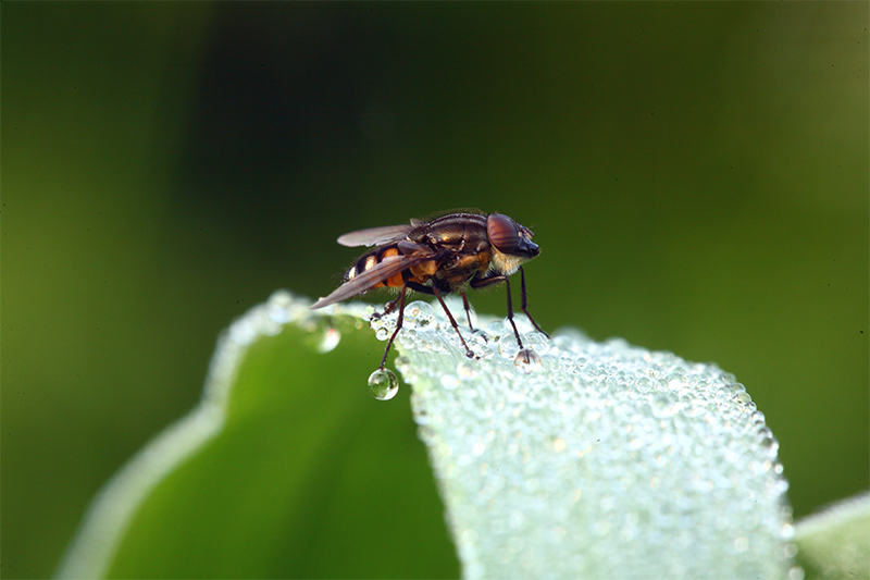 ...Profili Con Bollicine...!!!