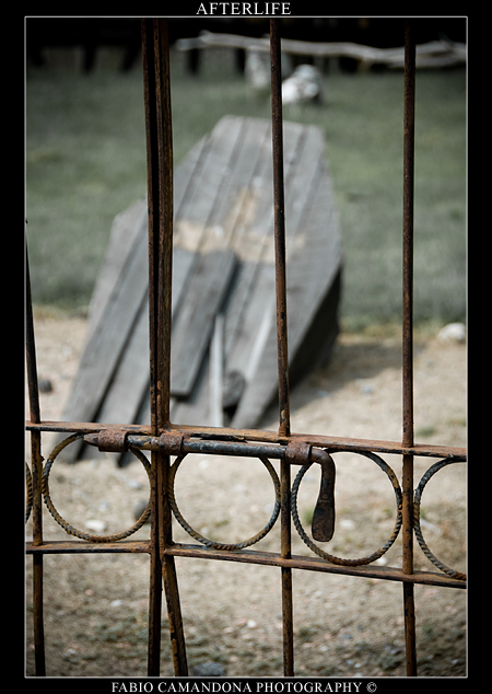 AFTERLIFE