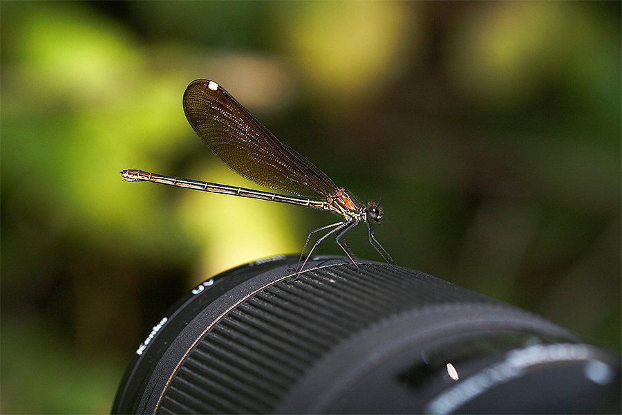 ...Vera Amicizia...!!!