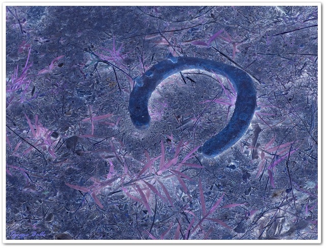 Tracce di un passaggio