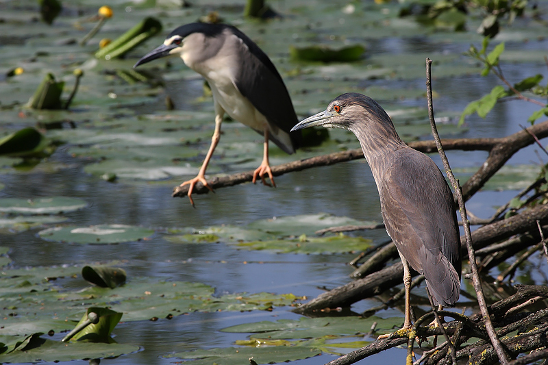 I giovani e la droga ^_^