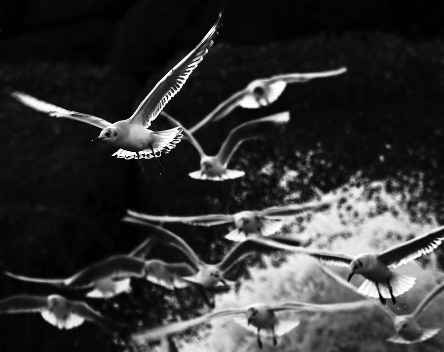 Bianchi pensieri.....