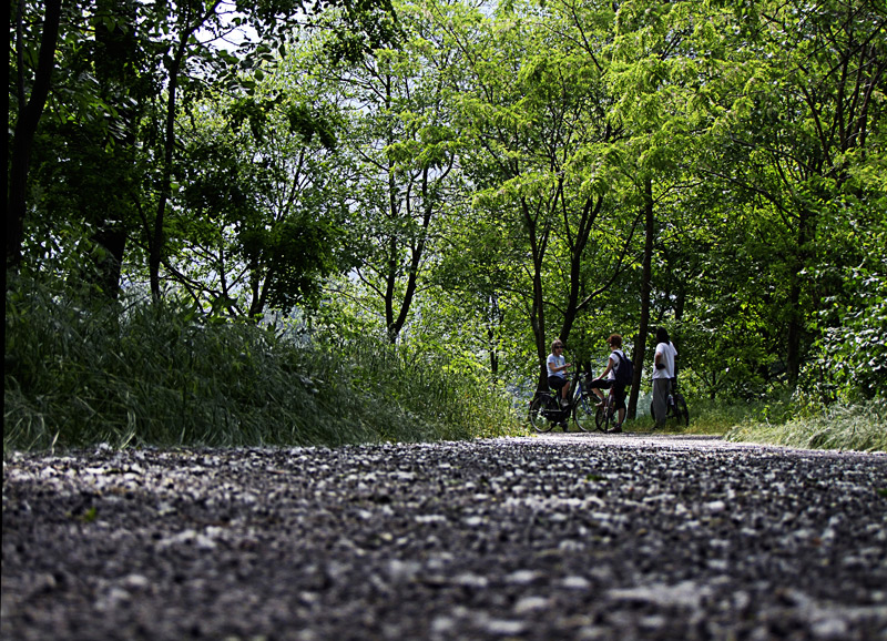 il viale della pista ciclabile. . .