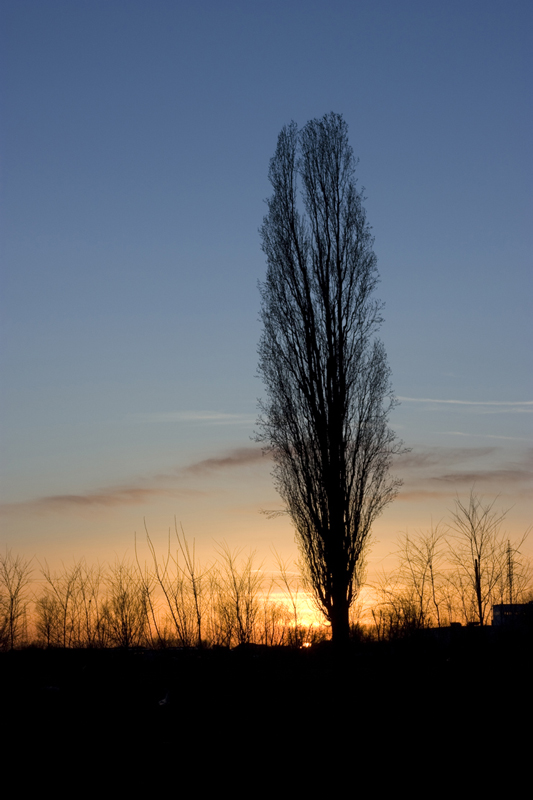 Tramonto a Gorgonzola