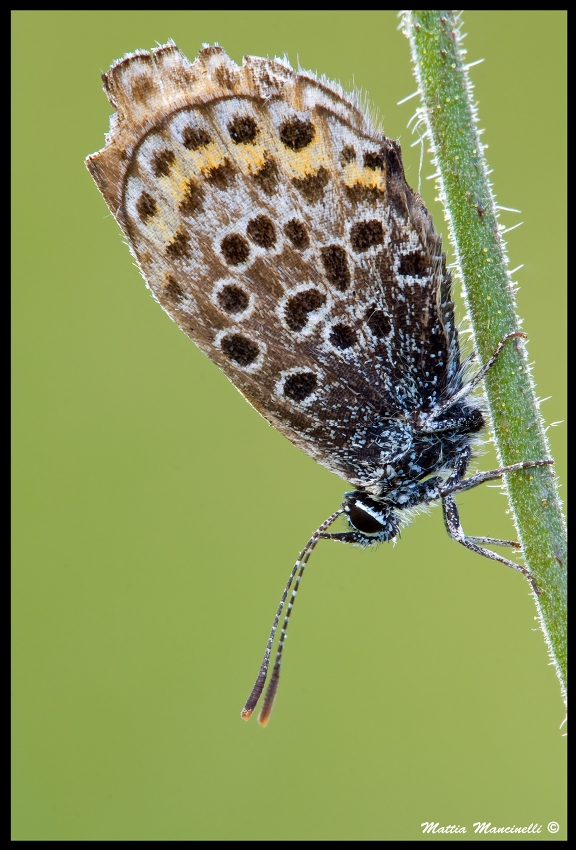 Agenti atmosferici e non...