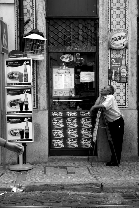 l'uomo che sussurrava agli uccellini