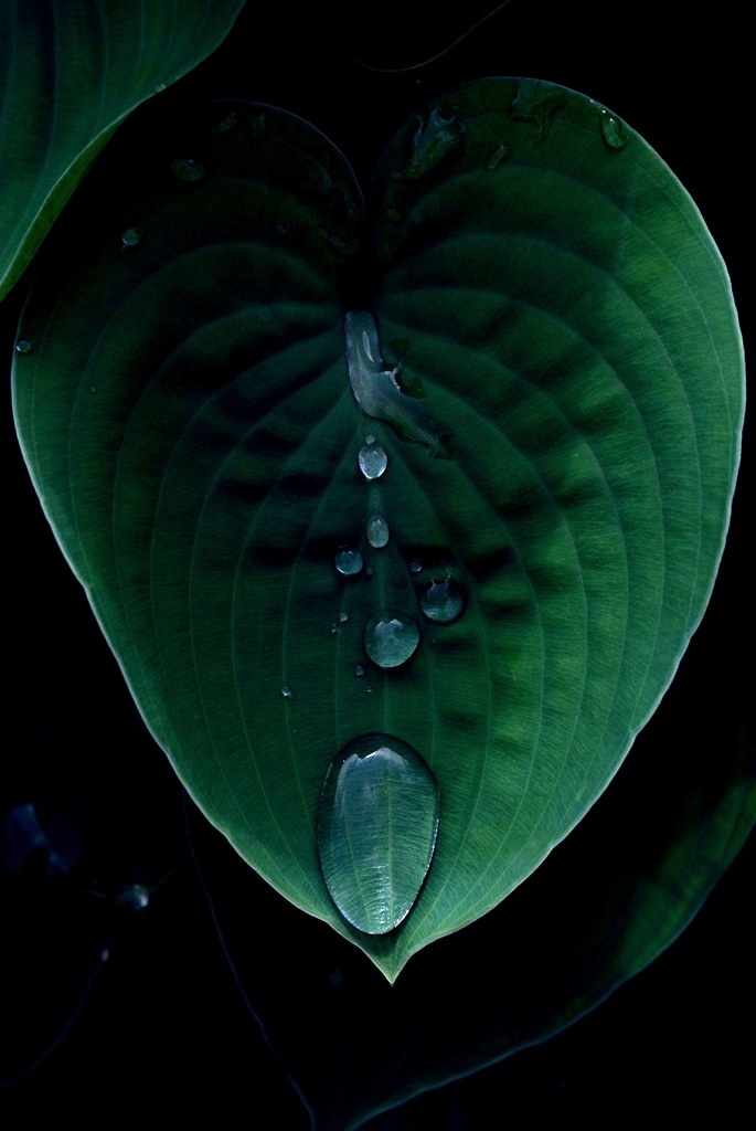 RACCOGLIERE CIO' CHE NON C'APPARTIENE