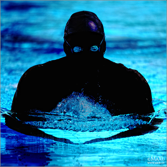 The Dark Swimmer
