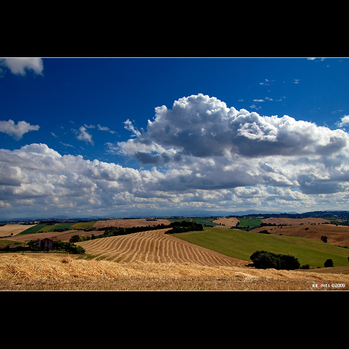 Campagna marchigiana