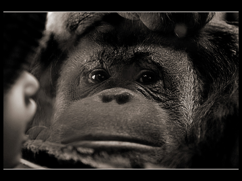 Uno sguardo che vale pi� di 1000 parole