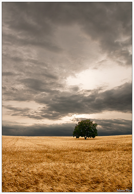 Tuscia landscape
