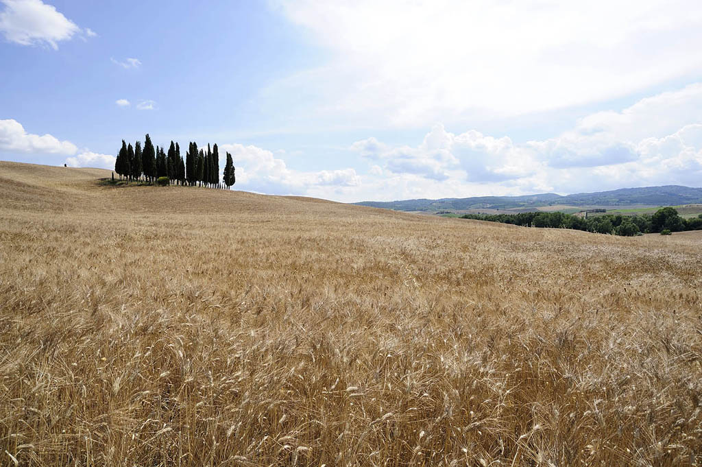 Val d'Orcia 2