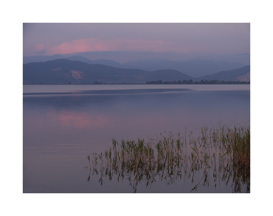Crepuscolo sul Massaciuccoli