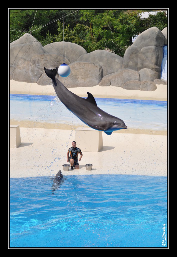 Un gran bel colpo di coda..