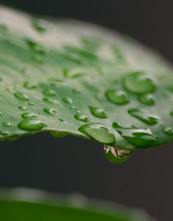 La finestra nell'acqua