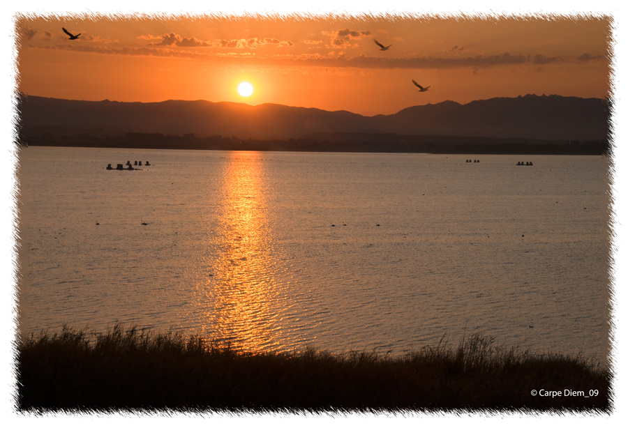 I silenzi del mattino...