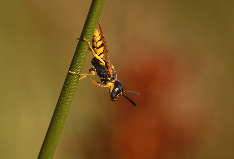 ...Io Mi Asciugo...!!!