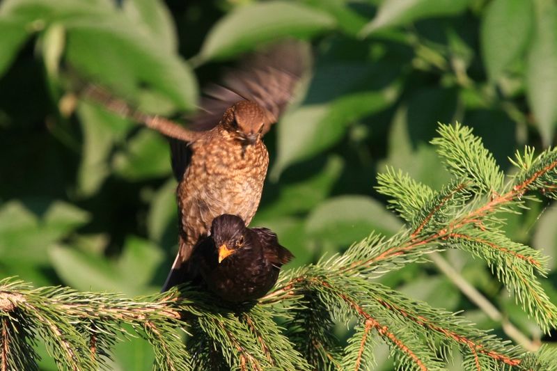 natura... invertita, moderno?