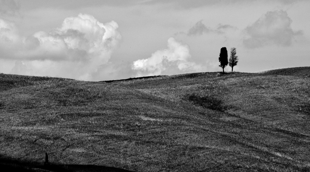 Mi sono seccato................