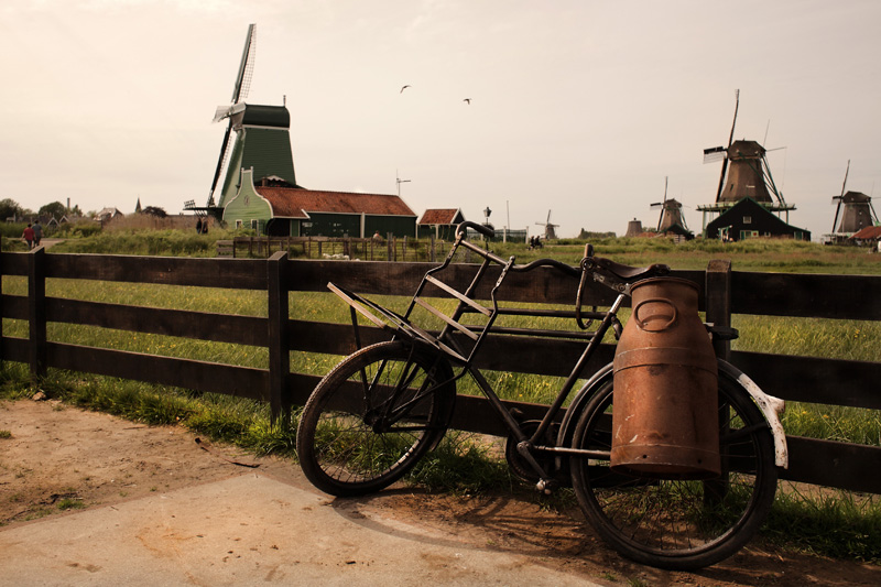 Milk Transport Service