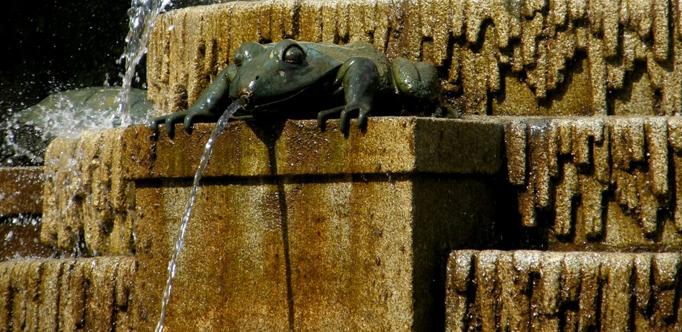 Particolare di una Fontana