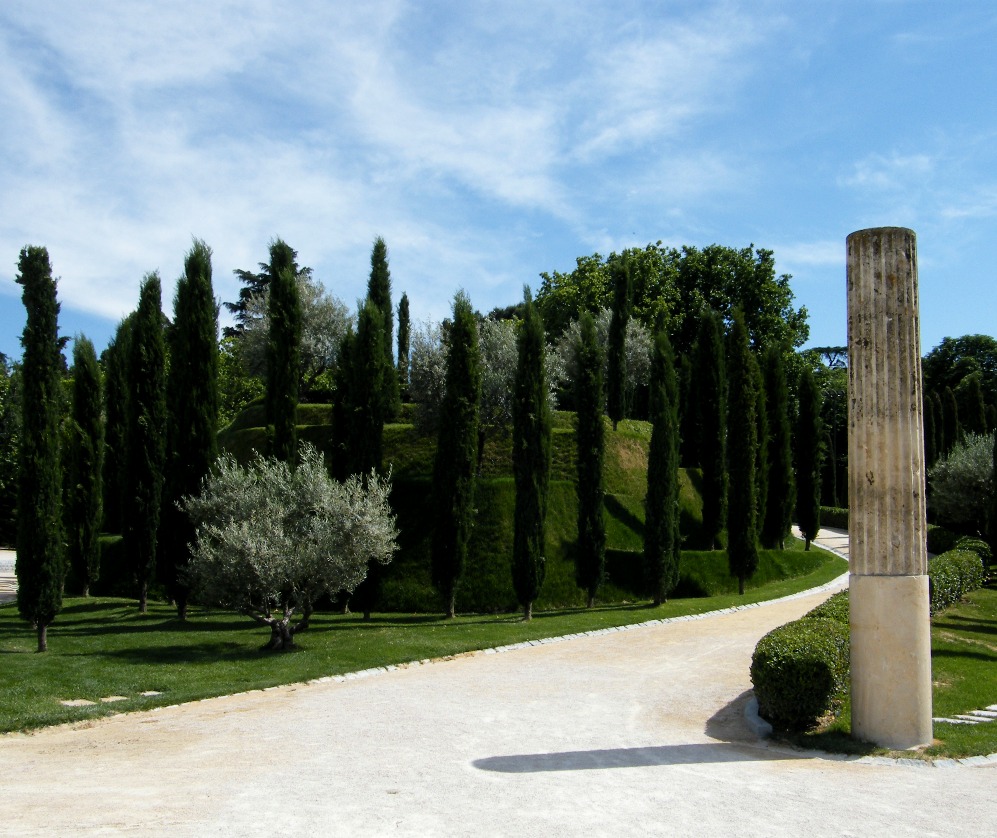 Il bosco degli scomparsi