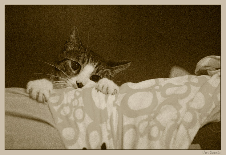 giocare con ''Pap�''