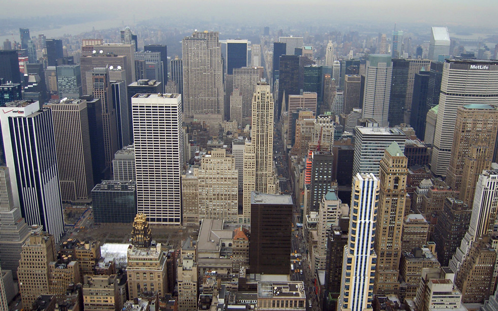 cresceranno ancora verso il cielo?