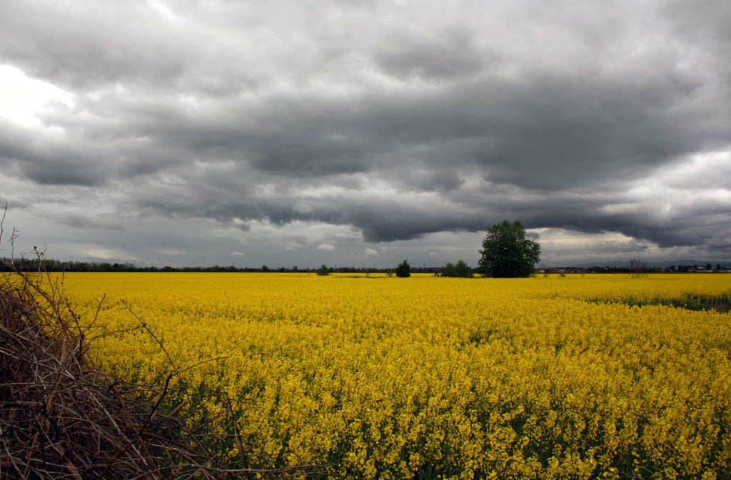 last day of universe