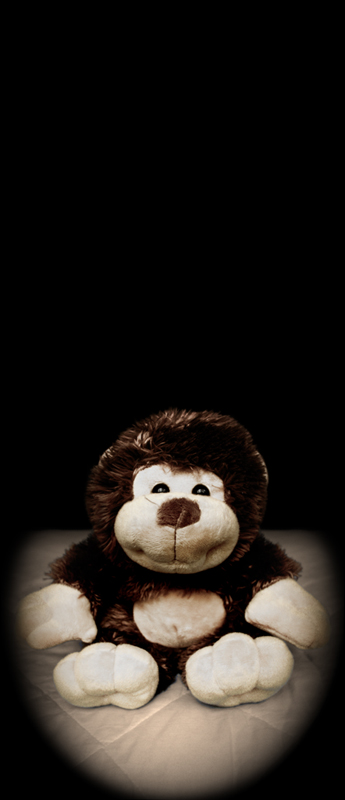Teddy Monkey
