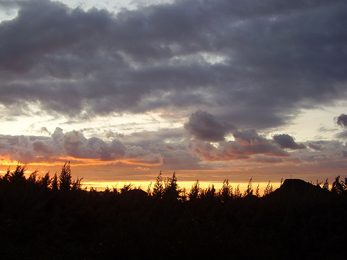 La sottile linea gialla