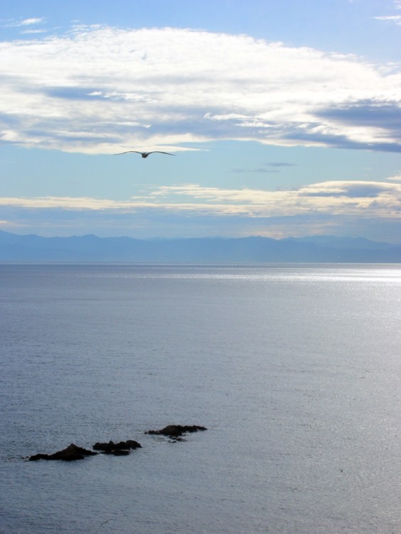 alba