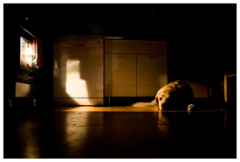 Waiting for Dinner...