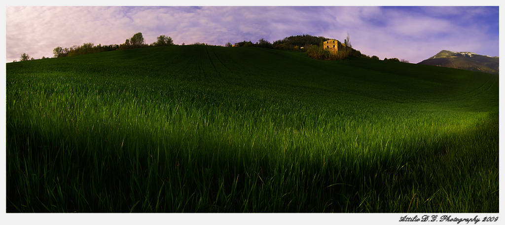 Ancestrali ricordi...