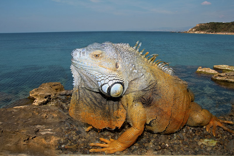 nulla �......... impossibile!!