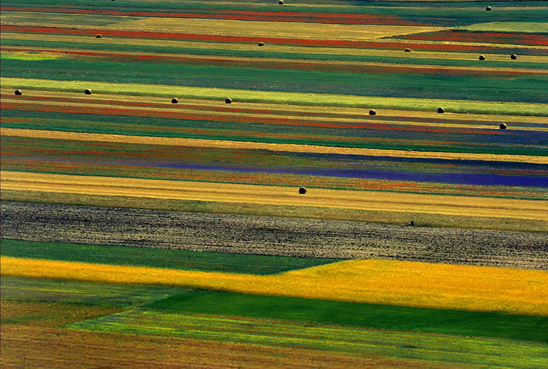 geometrie di collori