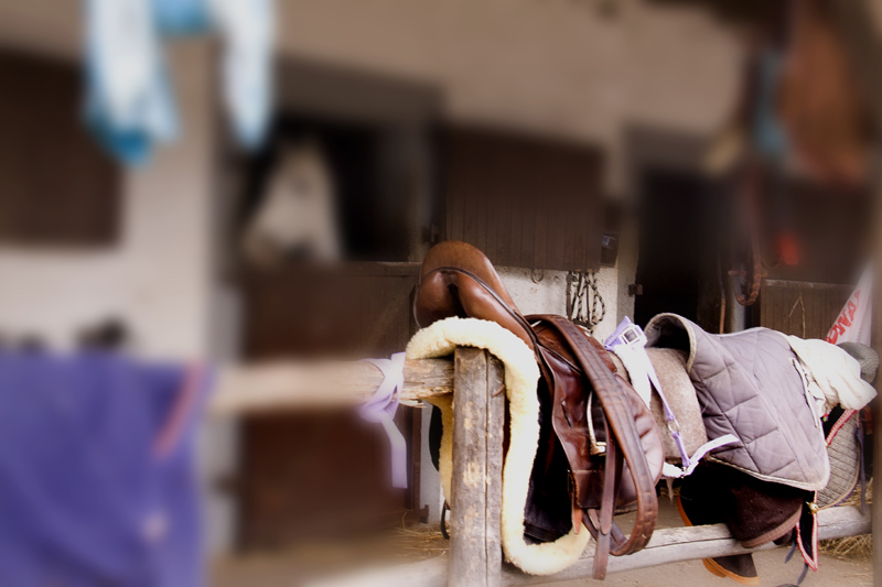 l'abito non f� il........cavallo!!!