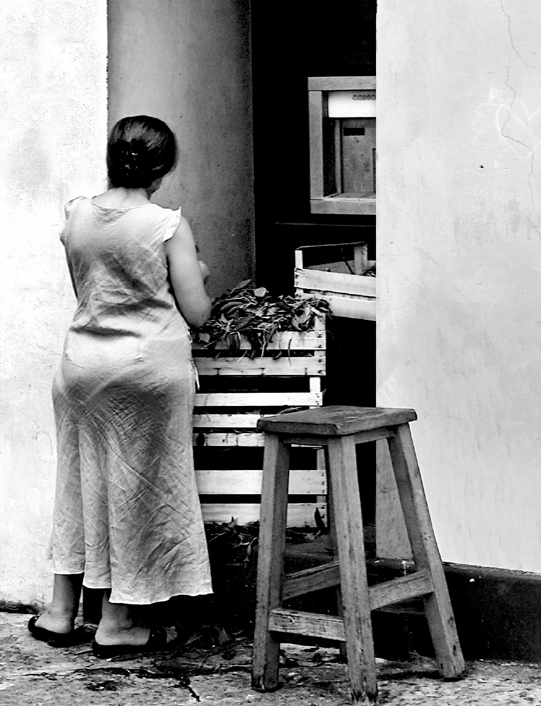 Ortofrutta al bancomat