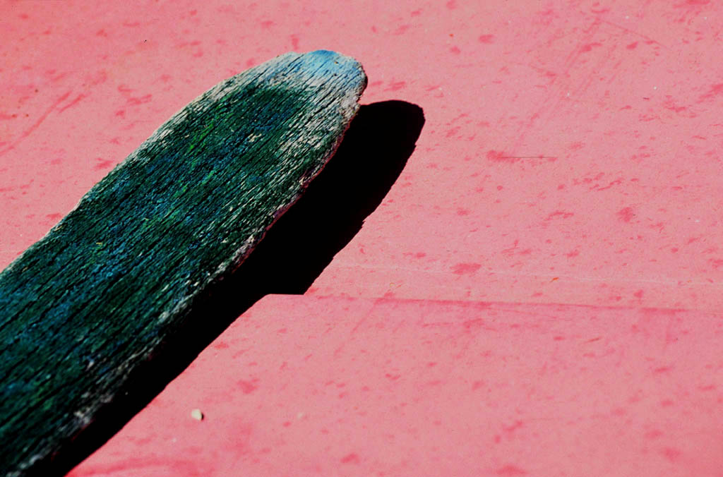 LEGNI D'ACQUA SALATA