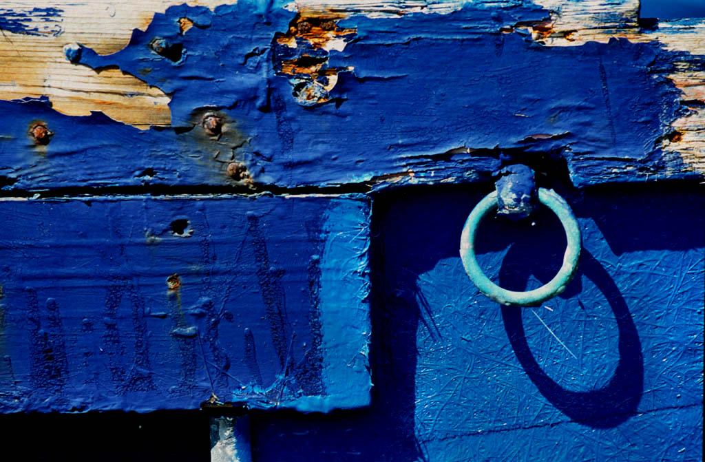 LEGNI D'ACQUA SALATA