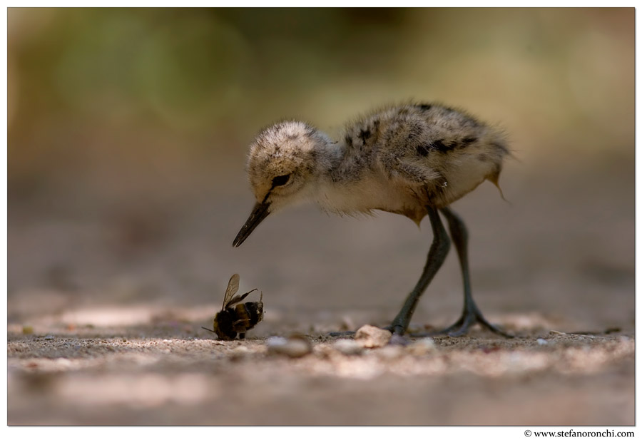 Alla scoperta del mondo