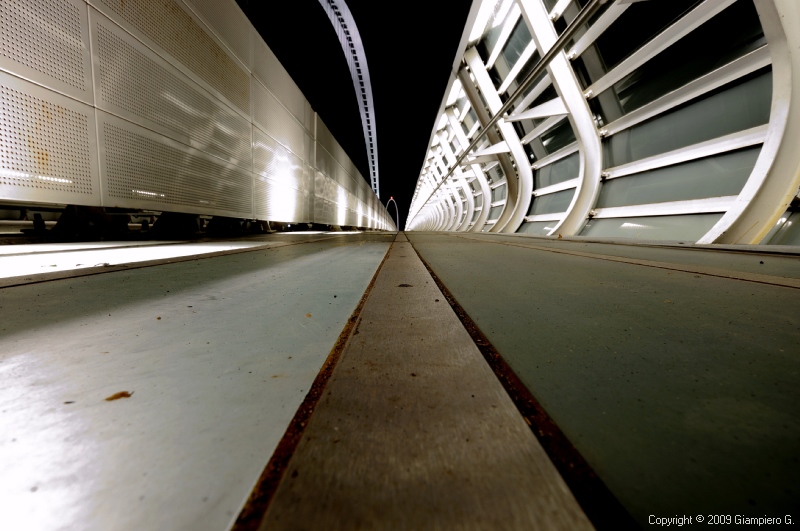 Ponte di Calatrava -  RE