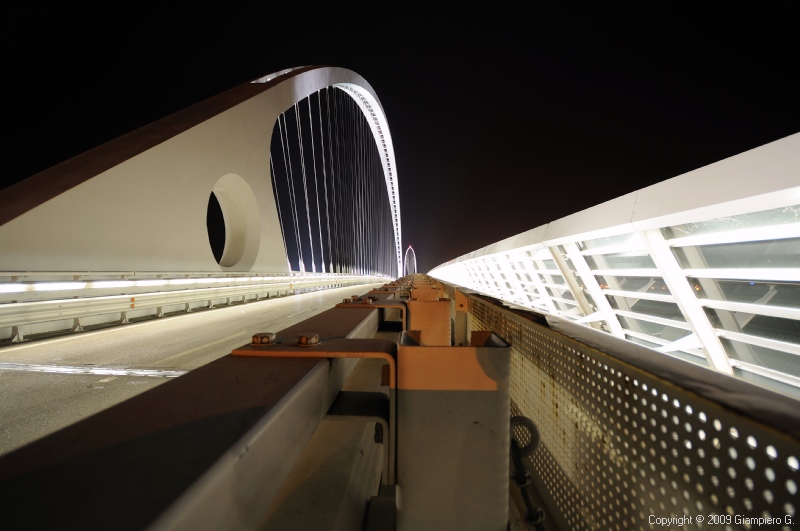 Ponte di Calatrava 1 - RE