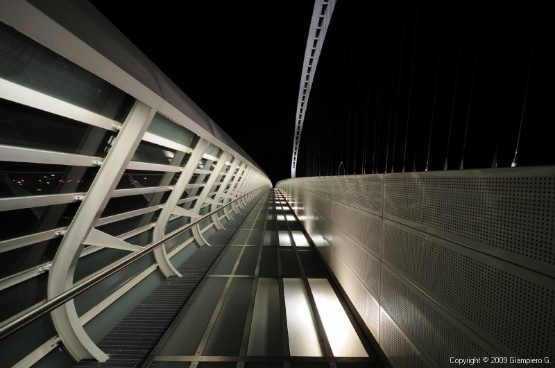 Ponte di Calatrava 3 - RE