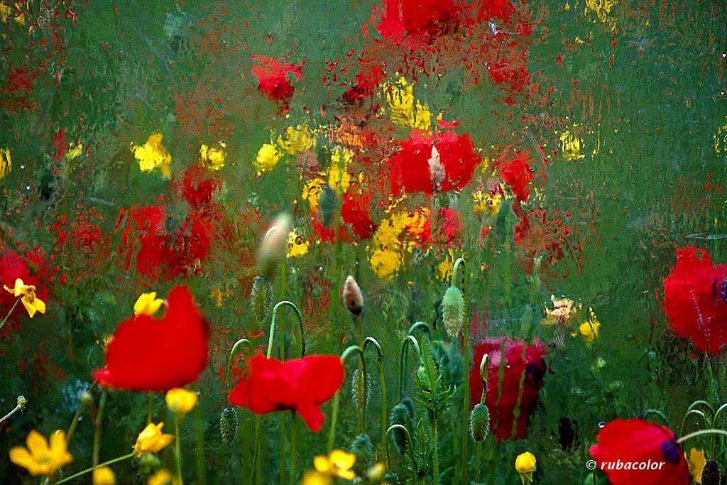 omaggio alla pittura